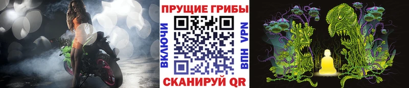 Галлюциногенные грибы Cubensis  MEGA ТОР  Трёхгорный 